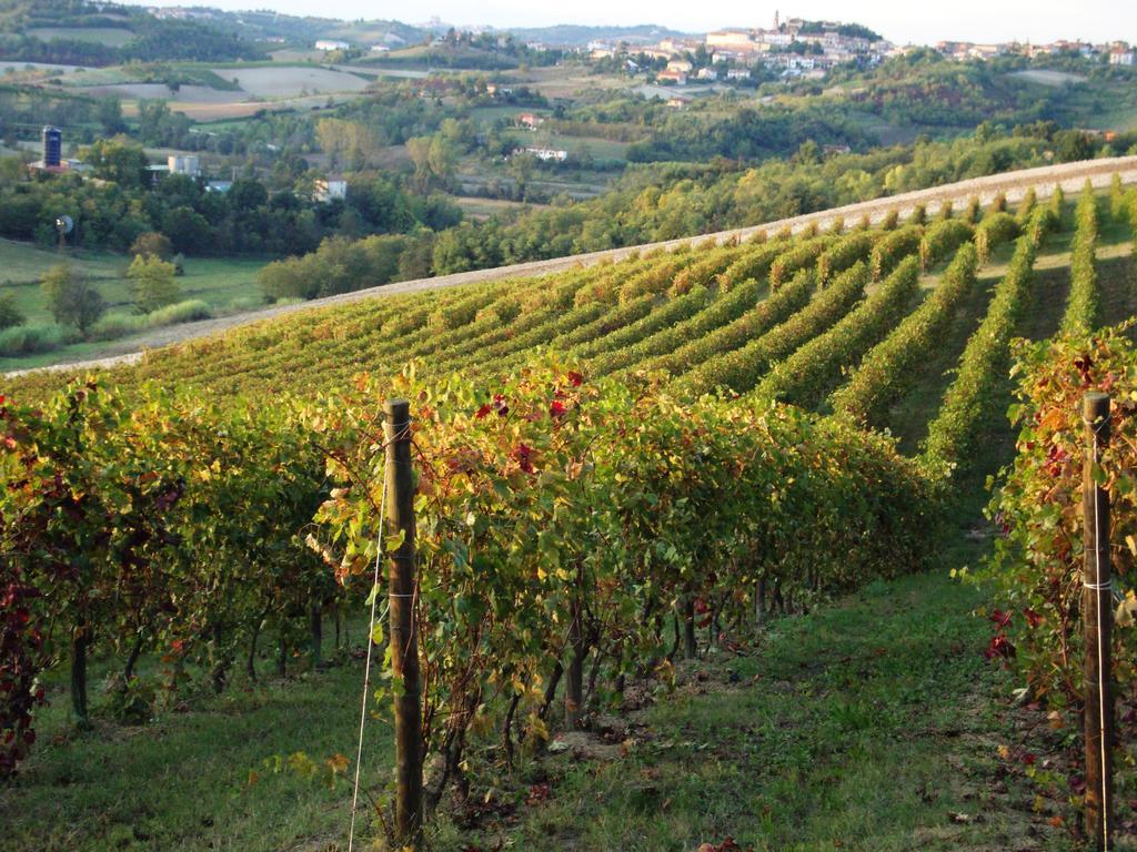 La Commedia Della Pentola Pensionat Lu (Piedmont) Exteriör bild